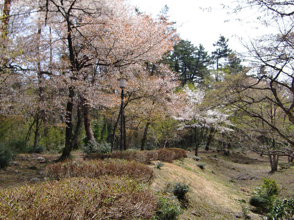 Hale Makawao Bed and Breakfast Daisen  Zewnętrze zdjęcie