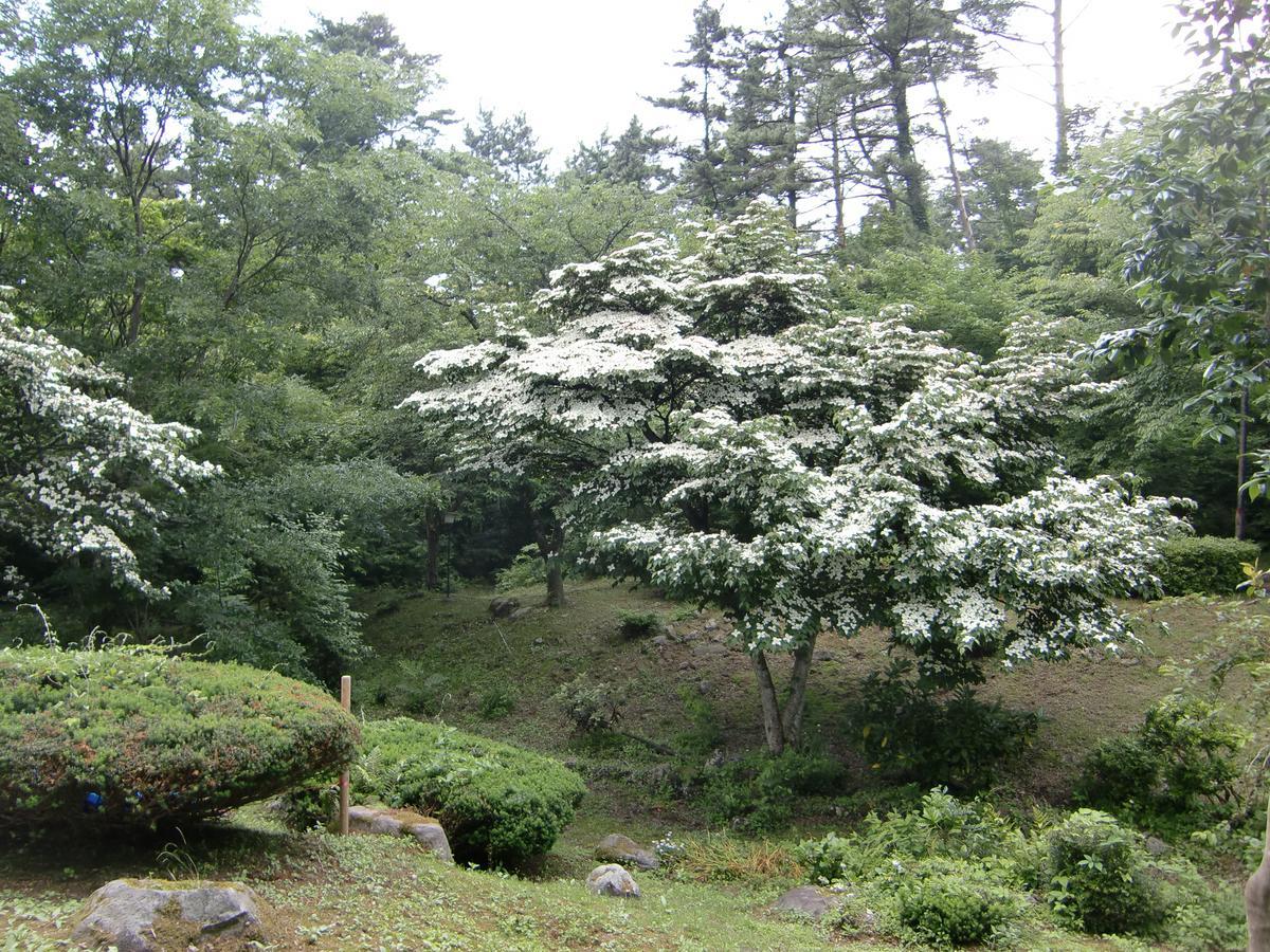 Hale Makawao Bed and Breakfast Daisen  Zewnętrze zdjęcie